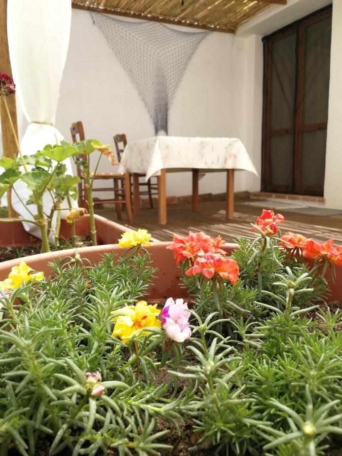 Casa Sartiglia Apartment Oristano Luaran gambar